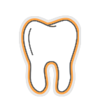 Drawing of a tooth.